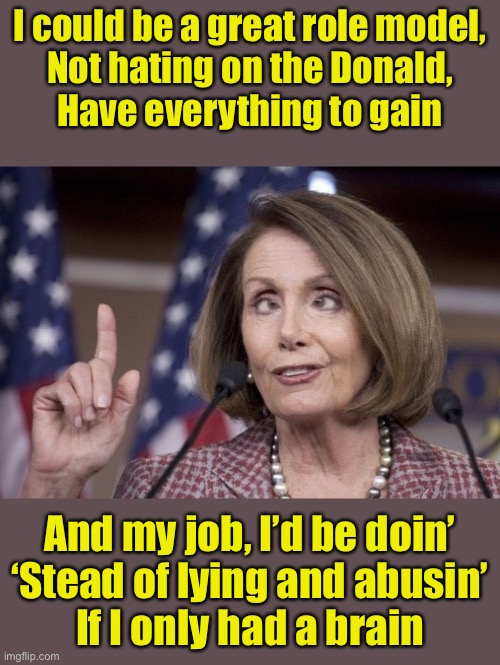 Sing to the tune from the Wizard of Oz | I could be a great role model,
Not hating on the Donald,
Have everything to gain; And my job, I’d be doin’
‘Stead of lying and abusin’
If I only had a brain | image tagged in nancy pelosi,brain,wizard of oz scarecrow | made w/ Imgflip meme maker