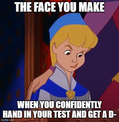 D- | THE FACE YOU MAKE; WHEN YOU CONFIDENTLY HAND IN YOUR TEST AND GET A D- | image tagged in bad grades,the face you make | made w/ Imgflip meme maker