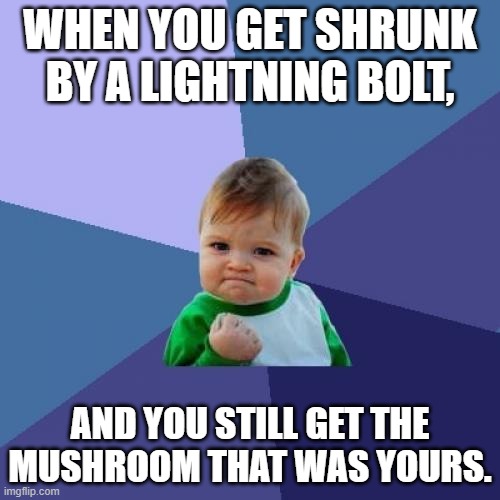 Success Kid Meme | WHEN YOU GET SHRUNK BY A LIGHTNING BOLT, AND YOU STILL GET THE MUSHROOM THAT WAS YOURS. | image tagged in memes,success kid | made w/ Imgflip meme maker