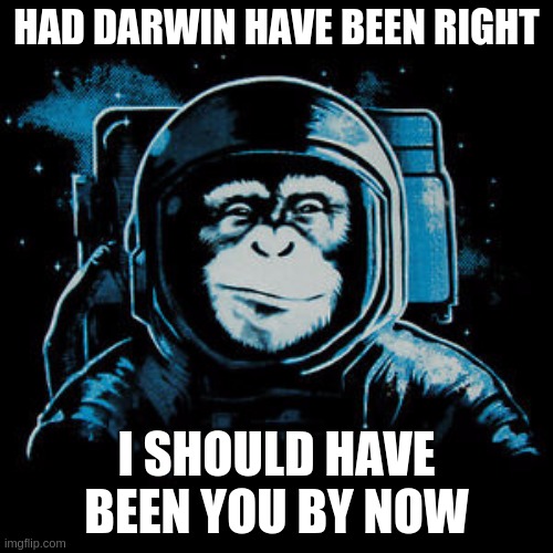 HAD DARWIN HAVE BEEN RIGHT; I SHOULD HAVE BEEN YOU BY NOW | image tagged in parliament,united kingdom,support,jesus christ,not,charles darwin | made w/ Imgflip meme maker