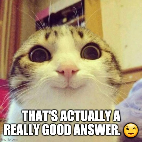 Smiling Cat Meme | THAT'S ACTUALLY A REALLY GOOD ANSWER. ? | image tagged in memes,smiling cat | made w/ Imgflip meme maker