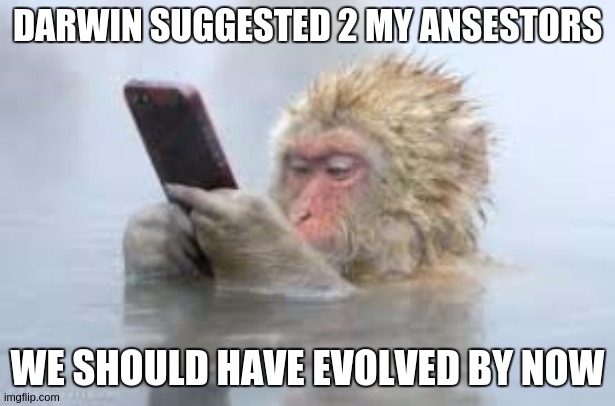 Humanity | DARWIN SUGGESTED 2 MY ANSESTORS; WE SHOULD HAVE EVOLVED BY NOW | image tagged in parliament,jesus christ,copy,charles darwin,the church lady,christianity | made w/ Imgflip meme maker