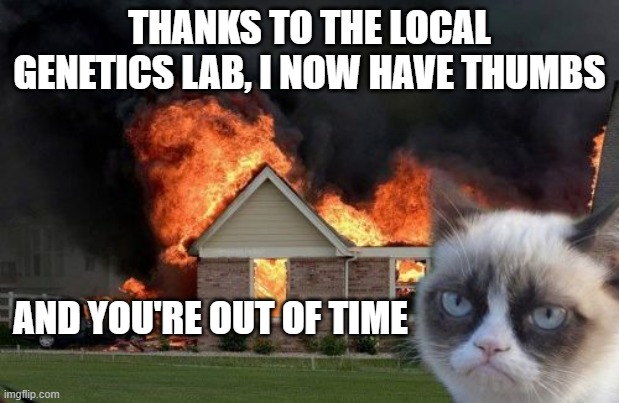 Burn Kitty | THANKS TO THE LOCAL GENETICS LAB, I NOW HAVE THUMBS; AND YOU'RE OUT OF TIME | image tagged in memes,burn kitty,grumpy cat | made w/ Imgflip meme maker