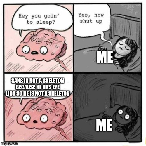 Hey you going to sleep? | ME; SANS IS NOT A SKELETON BECAUSE HE HAS EYE LIDS SO HE IS NOT A SKELETON; ME | image tagged in hey you going to sleep | made w/ Imgflip meme maker