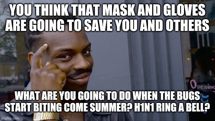 Roll Safe Think About It | YOU THINK THAT MASK AND GLOVES ARE GOING TO SAVE YOU AND OTHERS; WHAT ARE YOU GOING TO DO WHEN THE BUGS START BITING COME SUMMER? H1N1 RING A BELL? | image tagged in memes,roll safe think about it | made w/ Imgflip meme maker