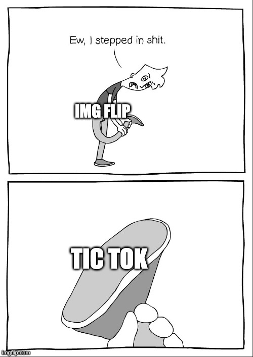 Ew, i stepped in shit | IMG FLIP; TIC TOK | image tagged in ew i stepped in shit | made w/ Imgflip meme maker