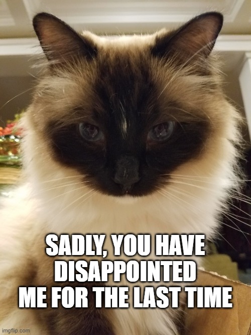 Sadly | SADLY, YOU HAVE DISAPPOINTED ME FOR THE LAST TIME | image tagged in and you were saying | made w/ Imgflip meme maker