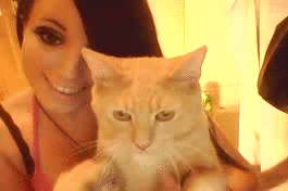 image tagged in gifs,babes,cats | made w/ Imgflip gif maker
