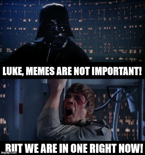 Star Wars No Meme | LUKE, MEMES ARE NOT IMPORTANT! BUT WE ARE IN ONE RIGHT NOW! | image tagged in memes,star wars no | made w/ Imgflip meme maker