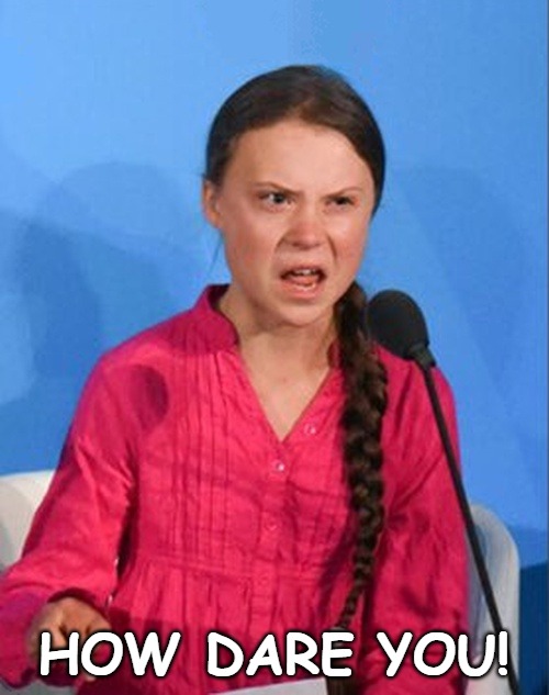 Greta Thunberg how dare you | HOW DARE YOU! | image tagged in greta thunberg how dare you | made w/ Imgflip meme maker