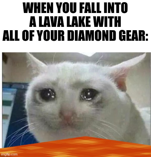 crying cat | WHEN YOU FALL INTO A LAVA LAKE WITH ALL OF YOUR DIAMOND GEAR: | image tagged in crying cat | made w/ Imgflip meme maker