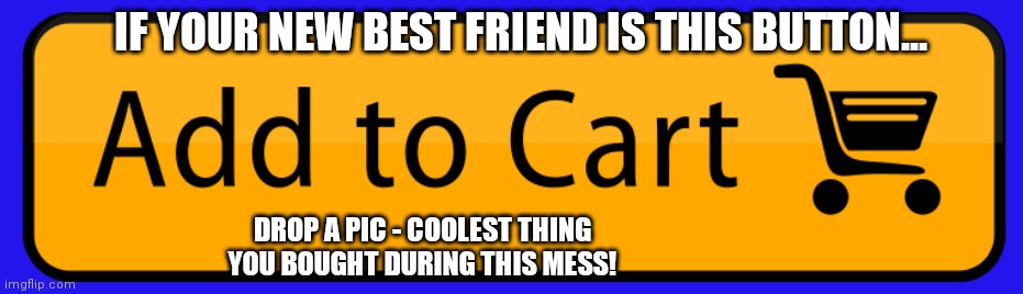 Add To Cart | IF YOUR NEW BEST FRIEND IS THIS BUTTON... DROP A PIC - COOLEST THING YOU BOUGHT DURING THIS MESS! | image tagged in shopping cart,photos | made w/ Imgflip meme maker