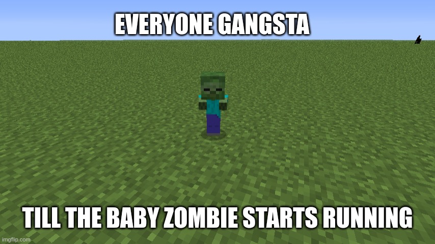 Annoying mob | EVERYONE GANGSTA; TILL THE BABY ZOMBIE STARTS RUNNING | image tagged in minecraft,zombie | made w/ Imgflip meme maker