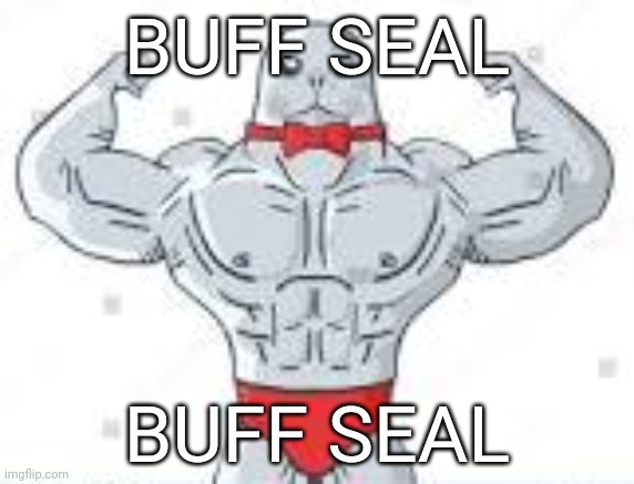 Buff Seal | BUFF SEAL; BUFF SEAL | image tagged in buff seal | made w/ Imgflip meme maker