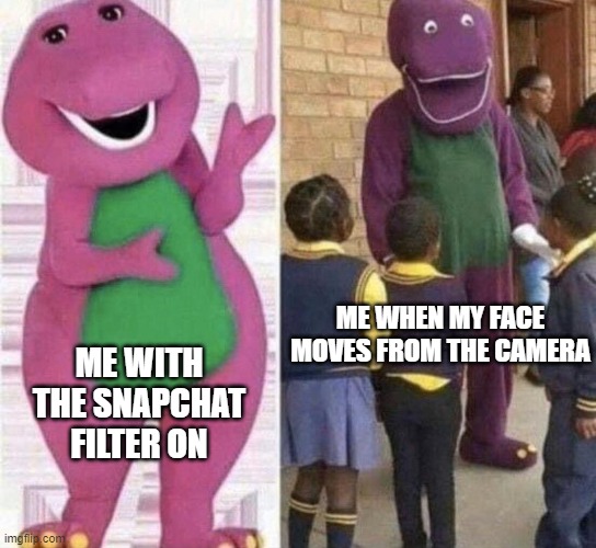 ME WHEN MY FACE MOVES FROM THE CAMERA; ME WITH THE SNAPCHAT FILTER ON | image tagged in comedy | made w/ Imgflip meme maker