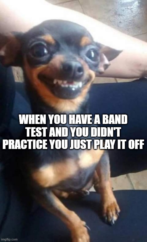 WHEN YOU HAVE A BAND TEST AND YOU DIDN'T PRACTICE YOU JUST PLAY IT OFF | image tagged in comedy | made w/ Imgflip meme maker