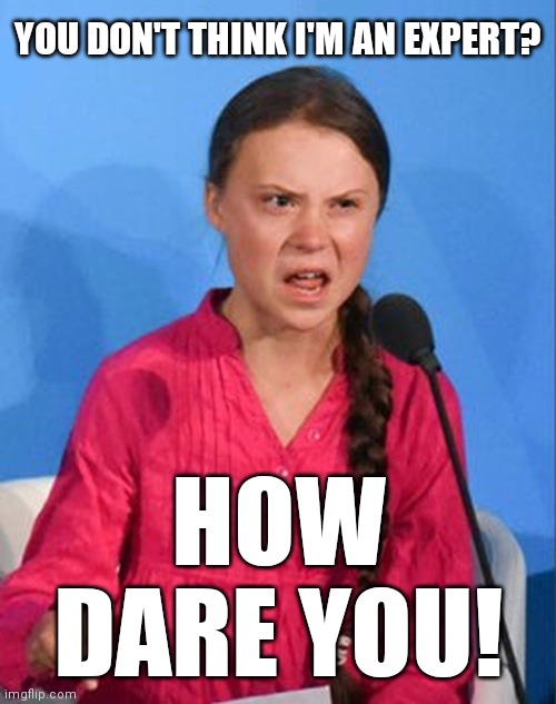 Greta Thunberg how dare you | YOU DON'T THINK I'M AN EXPERT? HOW DARE YOU! | image tagged in greta thunberg how dare you | made w/ Imgflip meme maker