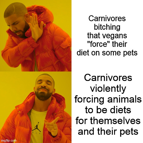 Was a reply meme, but really stands on its own.  Moral consistency - and honesty with yourself and thinking - won't kill you. | Carnivores bitching that vegans "force" their diet on some pets; Carnivores violently forcing animals to be diets for themselves and their pets | image tagged in drake hotline bling,vegans,pet diets,carnivore,vegetarian,meat | made w/ Imgflip meme maker