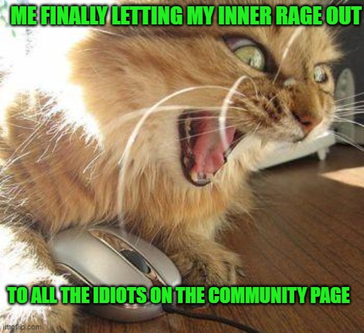 angry cat | ME FINALLY LETTING MY INNER RAGE OUT; TO ALL THE IDIOTS ON THE COMMUNITY PAGE | image tagged in angry cat | made w/ Imgflip meme maker