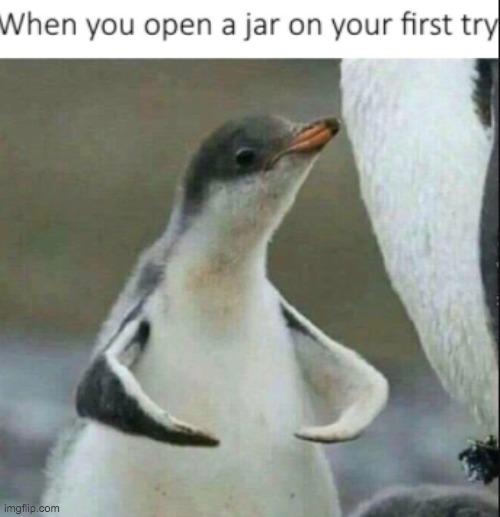 Im Strwong | image tagged in penguin,memes,strwong | made w/ Imgflip meme maker