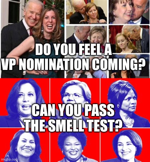 Biden smells a VP candidate soon | DO YOU FEEL A VP NOMINATION COMING? CAN YOU PASS THE SMELL TEST? | image tagged in vp candidates,biden,sexual harassment,smell,democrats | made w/ Imgflip meme maker