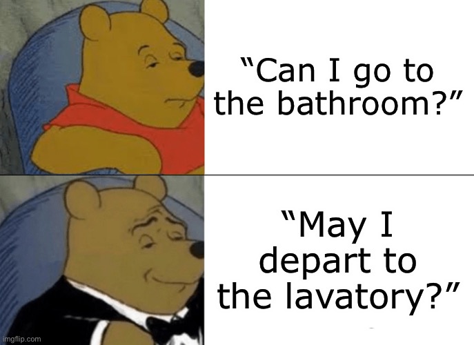 take a big dump sire | “Can I go to the bathroom?”; “May I depart to the lavatory?” | image tagged in memes | made w/ Imgflip meme maker