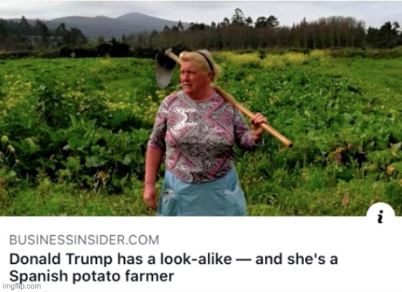 Trump twin sister | image tagged in trump,twin sister,meme,funny | made w/ Imgflip meme maker