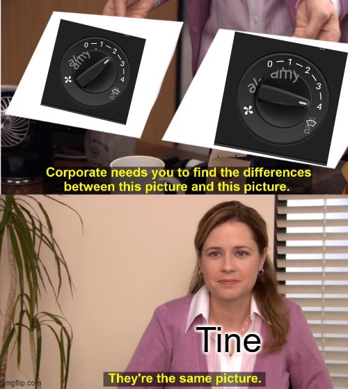 They're The Same Picture Meme | Tine | image tagged in memes,they're the same picture | made w/ Imgflip meme maker
