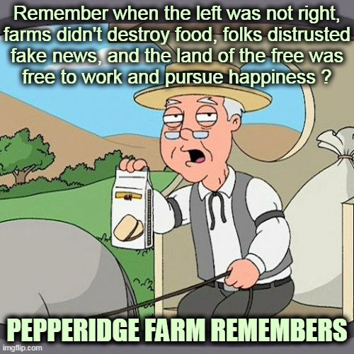 Pepperidge Farm Remembers Memes 4930