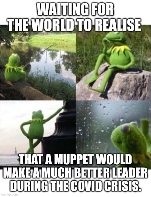 Who the hell is in charge | WAITING FOR THE WORLD TO REALISE; THAT A MUPPET WOULD MAKE A MUCH BETTER LEADER DURING THE COVID CRISIS. | image tagged in blank kermit waiting,coronavirus,corona virus,trump,boris johnson,conservatives | made w/ Imgflip meme maker