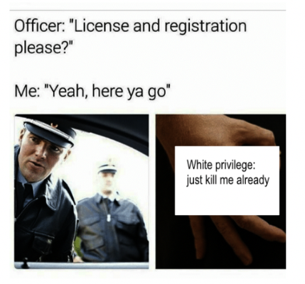 License and Registration meme Blank Meme Template