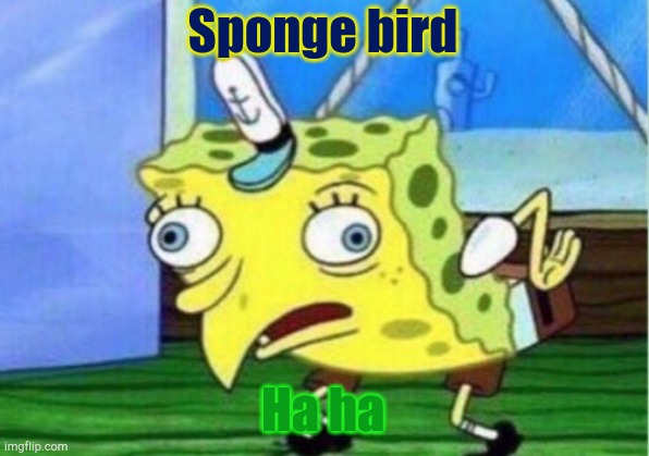 Sponge bird Ha ha | image tagged in memes,mocking spongebob | made w/ Imgflip meme maker