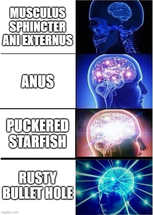 Expanding Brain | MUSCULUS SPHINCTER ANI EXTERNUS; ANUS; PUCKERED STARFISH; RUSTY BULLET HOLE | image tagged in memes,expanding brain | made w/ Imgflip meme maker