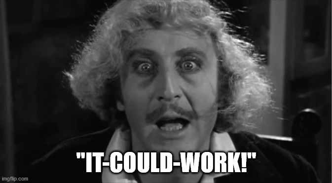 It-Could-Work | "IT-COULD-WORK!" | image tagged in young frankenstein | made w/ Imgflip meme maker