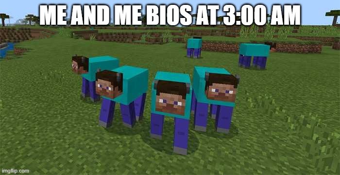 me and the boys | ME AND ME BIOS AT 3:00 AM | image tagged in me and the boys | made w/ Imgflip meme maker