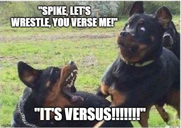 Verse VS. Versus | "SPIKE, LET'S WRESTLE, YOU VERSE ME!"; "IT'S VERSUS!!!!!!!" | image tagged in grammar,english,words | made w/ Imgflip meme maker