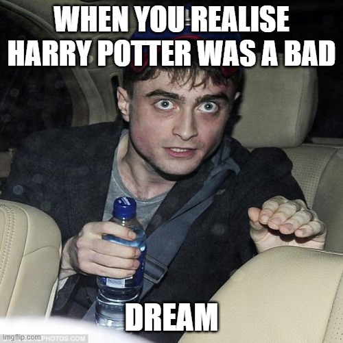 harry potter crazy | WHEN YOU REALISE HARRY POTTER WAS A BAD; DREAM | image tagged in harry potter crazy | made w/ Imgflip meme maker