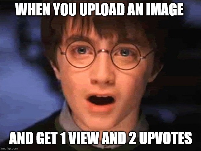 1 View, 2 Upvotes | WHEN YOU UPLOAD AN IMAGE; AND GET 1 VIEW AND 2 UPVOTES | image tagged in funny memes,harry potter | made w/ Imgflip meme maker