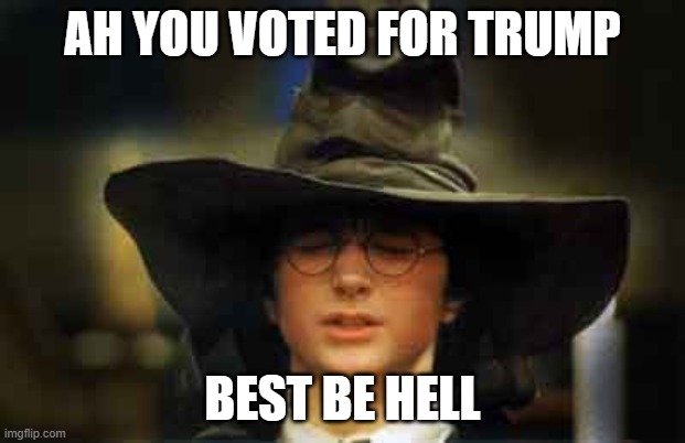 Harry Potter sorting hat | AH YOU VOTED FOR TRUMP; BEST BE HELL | image tagged in harry potter sorting hat | made w/ Imgflip meme maker