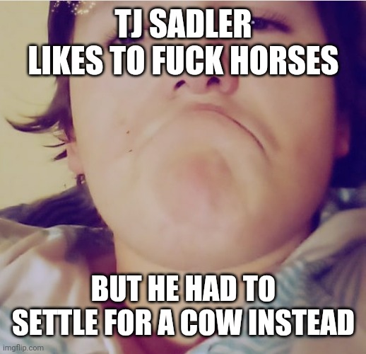 TJ SADLER LIKES TO FUCK HORSES; BUT HE HAD TO SETTLE FOR A COW INSTEAD | made w/ Imgflip meme maker