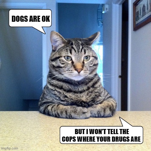 If the truth be told | DOGS ARE OK; BUT I WON'T TELL THE COPS WHERE YOUR DRUGS ARE | image tagged in dogs,cats,cops | made w/ Imgflip meme maker