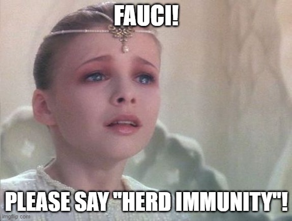 never ending story say my name | FAUCI! PLEASE SAY "HERD IMMUNITY"! | image tagged in never ending story say my name | made w/ Imgflip meme maker