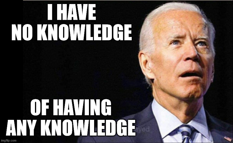 Joe Biden | I HAVE NO KNOWLEDGE; OF HAVING ANY KNOWLEDGE | image tagged in joe biden,memes,knowledge is power,the more you know,2020 elections | made w/ Imgflip meme maker