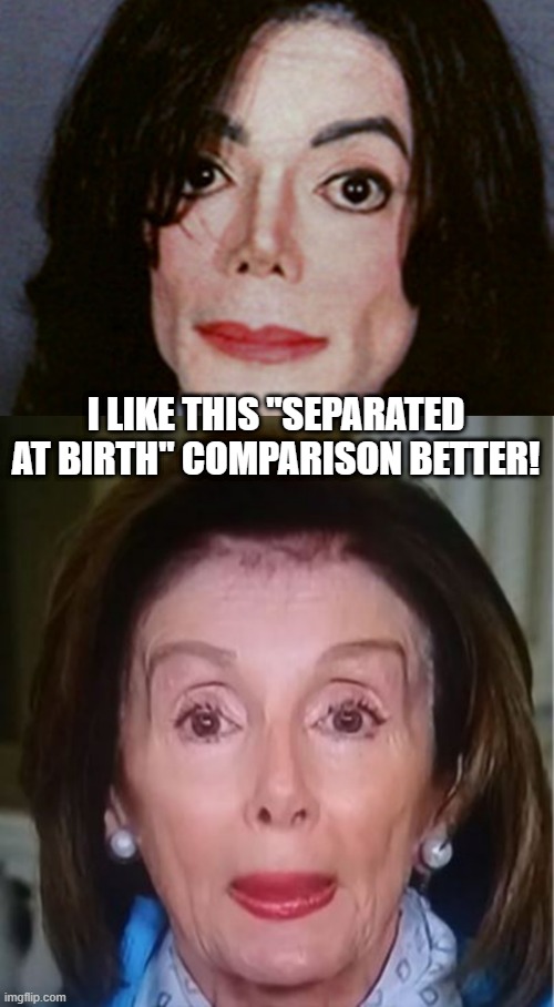 A Better Comparison IMHO | I LIKE THIS "SEPARATED AT BIRTH" COMPARISON BETTER! | image tagged in michael jackson spit's fact's | made w/ Imgflip meme maker