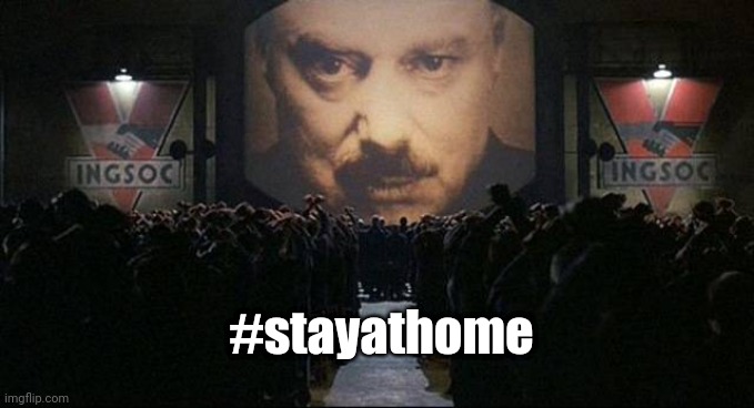 Big Brother 1984 | #stayathome | image tagged in big brother 1984,coronavirus,human rights,indoctrination,memes,stayathome | made w/ Imgflip meme maker