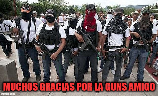 Ask the Cartel | MUCHOS GRACIAS POR LA GUNS AMIGO | image tagged in ask the cartel | made w/ Imgflip meme maker