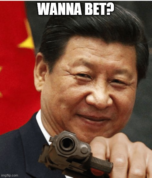 Xi Jinping | WANNA BET? | image tagged in xi jinping | made w/ Imgflip meme maker