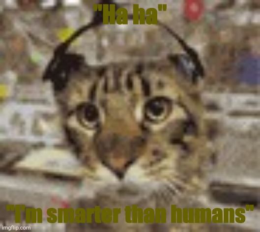 Cute | "Ha ha"; "I'm smarter than humans" | image tagged in cute | made w/ Imgflip meme maker