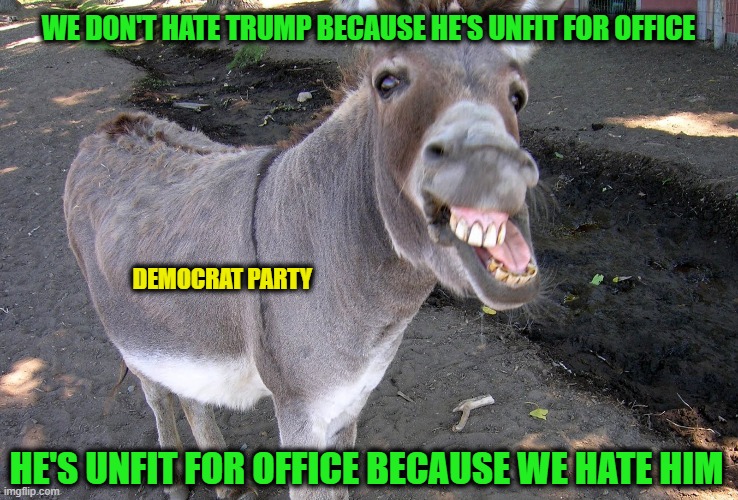 Out of the Mouth of a Jackass | WE DON'T HATE TRUMP BECAUSE HE'S UNFIT FOR OFFICE; DEMOCRAT PARTY; HE'S UNFIT FOR OFFICE BECAUSE WE HATE HIM | image tagged in democrat party,president trump | made w/ Imgflip meme maker