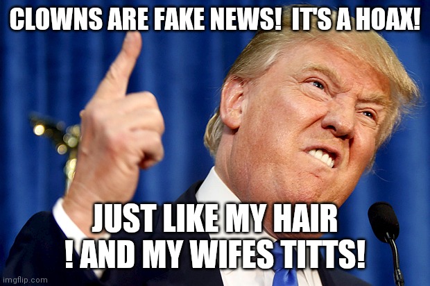 CLOWNS ARE FAKE NEWS!  IT'S A HOAX! JUST LIKE MY HAIR ! AND MY WIFES TITTS! | image tagged in donald trump,fake news,hoax | made w/ Imgflip meme maker